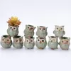 Kreskówka sowa w kształcie doniczki Kwiatowe Sukulety Rośliny FlowerPot Ceramiczne Mini Domowe Akcesoria Ogrodowe Office Owl Doniczki Dekoracja BH2356 ZX