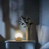 LED GECE IŞIK PRES PUTMING Yatak Başı Lamba Dolabı Işık Ay Işık Moda Akıllı Basın Pat Işıkları 100997857541