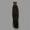 brasilianisches, tiefgelocktes reines Haar, 1 g/Strähne, Keratin-Kapseln, menschliches Fusion-Haar, Nagel i-Spitze, nicht Remy, vorgebundene Haarverlängerung