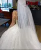 2020 Plus Size Arabic Aso Ebi Luxurious Sparkly Ball Gown Wedding Dresses Crystals Beaded High Neck Bridal Dresses Sexy Wedding Gowns AL6185