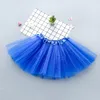 Vestiti per neonate TUTU Gonne Mini abiti da ballo per bambini Balletto Pettiskirt in tulle Soffici gonne per feste fantasia da principessa Costume Dancewear