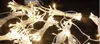 110V / 220V Rideau Lumière 10 * 5M 10 * 3M 5 * 4M 8 * 0.65M 4 * 4M led Cordes Fée Festival hôtel fête de mariage Lumières Noël backgroud gratuit L102