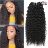 9A Peruvian Curly Hair Extension 100% Unprocessed Human Hair Weaves Natural Color 8-30 Inch Kinky Curly Hair