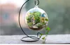 50pcs H23cm Ornament Display Stand Iron Hanging Rack Holder For Hanging Glass Globe Air Plant Terrarium Witch Ball Wedding Home Decor