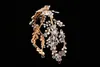 US-Warehouse Barockrhinestone Braut Haarband Krone Haarschmuck Zubehör Gold Silber Perle Für Frauen Prom Party Hochzeit Kopfschmuck Tiaras