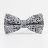 Näsdukar mode paisley mönster mäns bowtie polyester slipsgräs