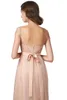 صور حقيقية 2020 Blush Pink Long Prom Dresses Lace Tulle Length Floor Women Cheap Evening Party Birntmaid Dress CPS2218330065