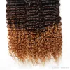 Ombre Weave Hair Human Hair Bundles Remy Curly Brazilian Virgin Hair Bundles with Closures 9A 1024 Inches Hairs Bulk 24 Inch Bund3543185