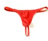 Sexy Masculino Spandex Bolge Bolsa Tanga Underwear Micro Thong String T-Back S923