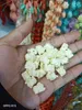 50 pçs / lote 14mm Elefante Forma Coral Beads Para Fazer Jóias Soltas Branco Vermelho Laranja Roxo Rosa Coral Beads DIY Accessories2655