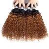 Onda profunda Indiano Cabelo Humano Loiro Escuro Ombre Tece 3/4 Pacotes 1B / 30 Profundo Encaracolado Cabelo Ombre para As Mulheres Negras