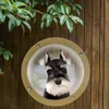 Hållbar akryl Pet Sight Window Dome Insert Fence Clear Outside Landscape Viewer For Cats Dogs Pet Dog Gate Dog Door231R