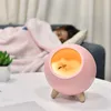 Creative Night Lights Новинка Специальный продукт USB Зарядка Небольшой Светло-атмосфера Спальня с Спать Теплый кот