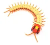 Fjärrkontroll Centipede CreepyCrawly Millipede Remote Controlrc Animal Prank Funny Toys Simulation Plastic ABS Kids Birthday GI863092792