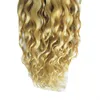 Brasilianische verworrene lockige Menschenhaarbündel 100 % Remy-Haarverlängerung 12-24-Zoll-Haarwebartbündel Farbe