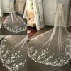 VEILES DE WEDIMENTO APLICAÇÕES DE LAF LACE COM ENCESSO COM FILHAS PARA MENINAS CATERIA CATERIA LUZURA LUZULO LONGA CAPELA 300 CM NOVO