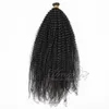 VMAE Indian Malaysian 1G Strand 100g Natural Color Afro Kinky Curly Pre Bonded Keratin Stick I Tips Raw Human Human Hårförlängningar