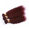 Wefts # 99J Vinho Tinto Brasileiro Molhado e Ondulado Pacotes de Cabelo Humano Borgonha Vermelho Virgem Extensões de Trama de Cabelo Onda de Água Cabelo Humano Tece Mixe