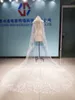 2020 One Layer Wedding Veils 3 Meters Long Cathedral Length Lace Appliqued Real Image Tulle Bridal Veil With Free Comb