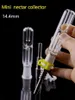 QBsomk Mini Nectar Collector Kit con 10 14 18mm Titanio Chiodo Quarzo Punta Plastica Keck Clip Mini Tubi di Vetro Bong di Vetro Tubi di Fumo