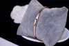 Yeni moda ins lüks tasarımcı zarif pırıltılı elmas bileklik link zinciri kadın bilezik gül altın 19 cm