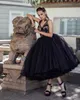 Black Lace Prom Dresses V Neck A Line Pleated Evening Gowns Plus Size Tea Length Tulle Tiered Formal Dress