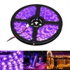 Impermeável 5M 60 LED / lâmpada fita M 3528 SMD UV Led Light Strip lâmpada ultravioleta roxo Luz DC 12V Flexiable