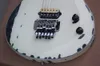 Floyd Rose HH Open Pickups Retro-Korpus-E-Gitarre mit Chrom-Hardware, Palisander-Griffbrett, kann individuell angepasst werden