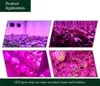 DC 12 V LED Grow Light Full Spectrum 5M Strip Light Light 5050 LED Phito Roślin Wzrostowych Lampy do Hydroponic Hydroponic Rosnące