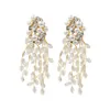 Fashion Pearl Crystal tassel Dangle earrings designer earrings women earrings for women fashion jewelry gift free shipping
