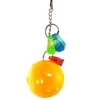 Parrot Bird Chewing Toy Hanging Bridge Chain Pet Bird Parrot Chew Swing Toys Bite Grinding Teeth Supplies yq01093