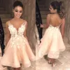 Sexy Backless Champagne Party Dresses V Sheer Neck Straps 3D Floral Applique Cocktail Eevning Dress Homecoming Formal Wear Custom 276y