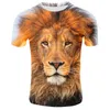 2019 Nowa Koszulka 3D Koszulka Zwierząt Lion Koszula Cool 3D T Shirt Mężczyźni Śmieszne Koszulki Męskie Odzież Casual Fitness Teetop Punk Tshirt