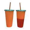 5set 24oz Changing Color Reusable With Cold Drink Plastic Iced Cups Cold Tumbler Travel Juice Mug Magic Coffee Bottle Straw Bbcla9395453