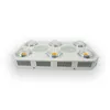 DHL 300W Volledige spectrum COB LED-installatie Grow Light X6-Plus Hydroponic Greenhouse Indoor Planten Zaaien Bloemlamp