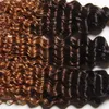 Fasci di capelli ricci profondi Ombre brasiliani 3 toni 1B / 4/30 Ombre marroni Capelli umani vergini ricci brasiliani
