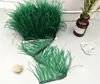 8-10 cm ostrich feather cloth side clothing earrings accessories accessories color ostrich feather cloth belt EEA519