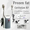 Beste ultrasone cavitatie RF huidverstakking Vet Freeze Machine liposuctiemachine Twee cryolipolyse handgrepen kunnen samenwerken CE