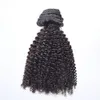 페루 버진 천연 12 ~ 26 인치 100G 120G 140G 160G Afro Kinky Curly 4A 인간 머리 확장 클립