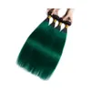 Silanda Hair – tissage en lot naturel Remy lisse, couleur ombré T 1BD, vert foncé, trame de cheveux, 4x4, 6012519