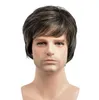 Syntetiska peruker Mens Side Fringe Wig Handsome Men Kort Straight Brown Värmebeständig Cosplay Party Hair FZP211