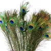 Simulation de plumes de paon 80-90cm, 50 pièces/lot, décorations de fête, plumes naturelles, accessoires de décoration pour la maison, affichage de salon