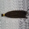 Ludzkie włosy do oplatania luzem Brak załącznika 100g Kinky Afro Włosy Włosy 25cm-65 cm Mulk Afro Kinky Kręcone oplatanie włosów
