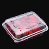 Scatola di plastica trasparente Contenitore per frutta e verdura con gancio 500g / 1000g Flip Organizer in Vetrina Congelatore per vetrine