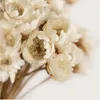 30pcs decoraitve Flor seca Mini Daisy Star Flower Bouquet Plantas naturais pequenas florais para casamento Diy Home decoration2310178