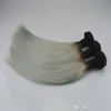 Elibess Grado 6A - Paquete de cabello liso de seda de cabello de doble trama 100% humano, color Ombre T1B / Grey, peso 100 g / pc 3pcs / Lot, DHL gratis