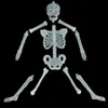 32 CM Halloween Horror Luminous Skull Skeleton Props Glow Evil Party Favors Halloween Eve Scary Decoration Hanging Ornaments JK1909XB