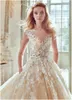 Wonderful Champagne Tulle Wedding Dress Scoop Neck Lace Appliques Bridal Gown Back Button with Belt Vestidos de Novia 2020 Wedding Gowns