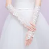 Gants de mariée blanches sous les gants de mariage de longueur du coude Femmes Femme sans fin dentelle Applique Glove Robe de mariée ACCESSOIRES9000957