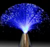 Multicolor LED Fiber Optic Light Night Lamp Holiday Christmas Wedding Home Decoration Nighting Lighting Lamps 2PCS